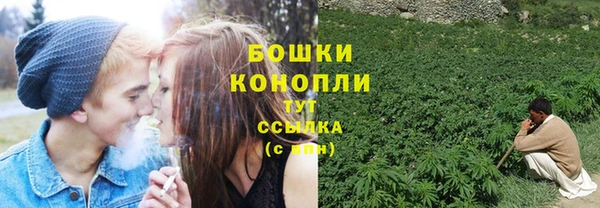 трава Заводоуковск