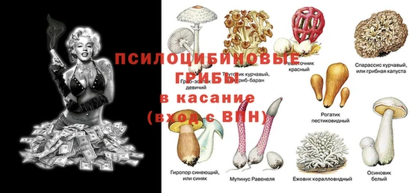 мдпв Заволжск